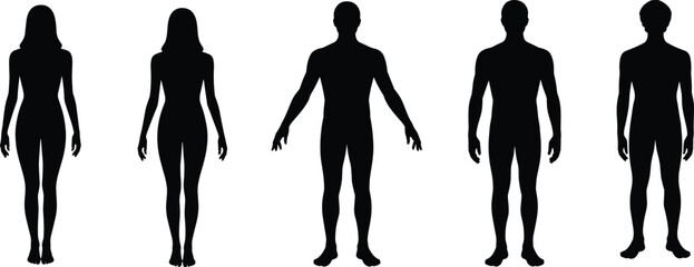 Silhouettes of five human figures, two female and three male, standing upright in a row, representing gender differences, anatomy, and design illustration concepts. © MIJANUR