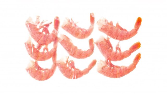 Packing and Freezing of Shrimp Meat. King prawns are vacuum packed and rapidly cooled with an ice jet, creating a white steam effect on a white background