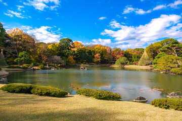東京都文京区 秋晴れの六義園
