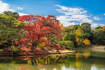 東京都文京区 秋晴れの六義園