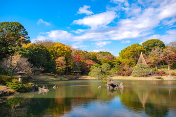 東京都文京区 秋晴れの六義園