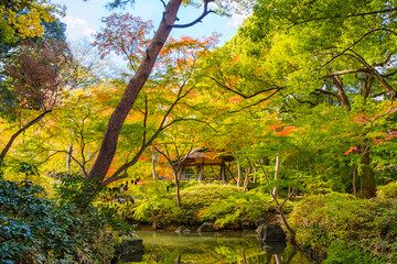 東京都文京区 秋の六義園、つつじ茶屋