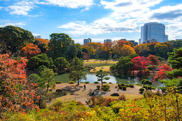 東京都文京区 秋晴れの六義園 藤代峠から見下ろす庭園全景と大泉水