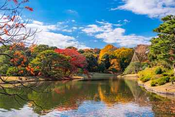 東京都文京区 秋晴れの六義園