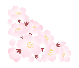 桜のイラストのコーナー装飾素材