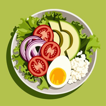 salad vector