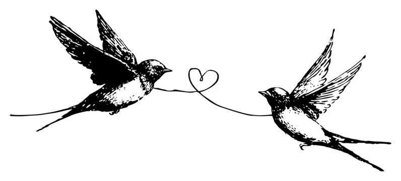 Sketch of two flying swallow birds holding a heart string