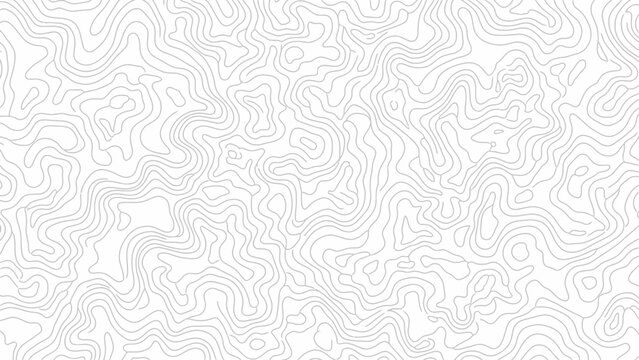 Seamless topographic map lines pattern