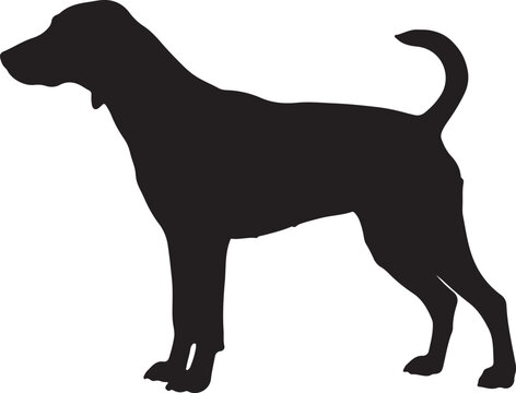 Treeing Feist in silhouette on white background.