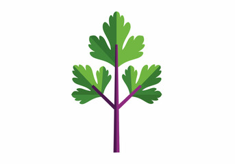 Obraz premium Flat Design Illustration of a Fresh Green Coriander Leaf Sprig.