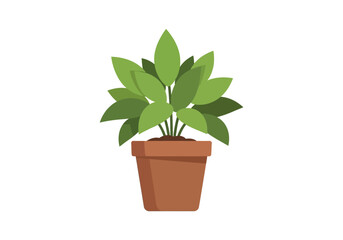 Obraz premium A Potted Green Plant with Lush Leaves in a Terracotta Pot.