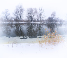 Winter landscape