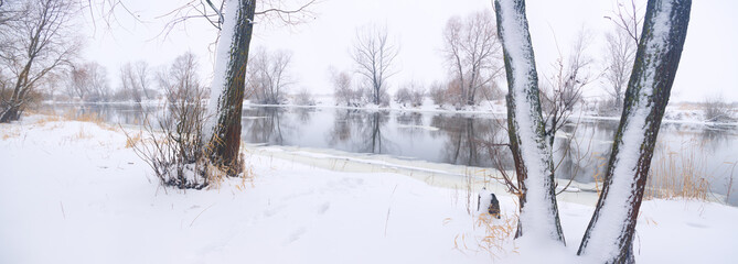 winter landscape on the river