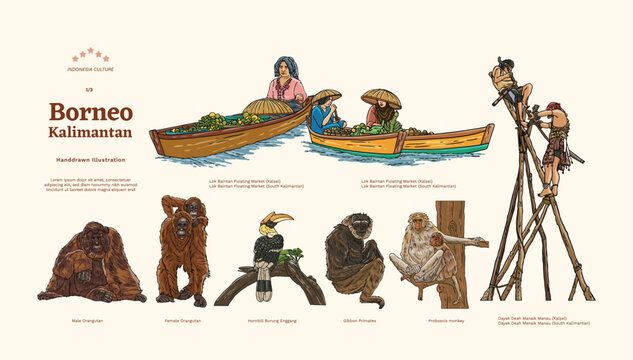 Isolated East Kalimantan Borneo Culture Handdrawn Illustration