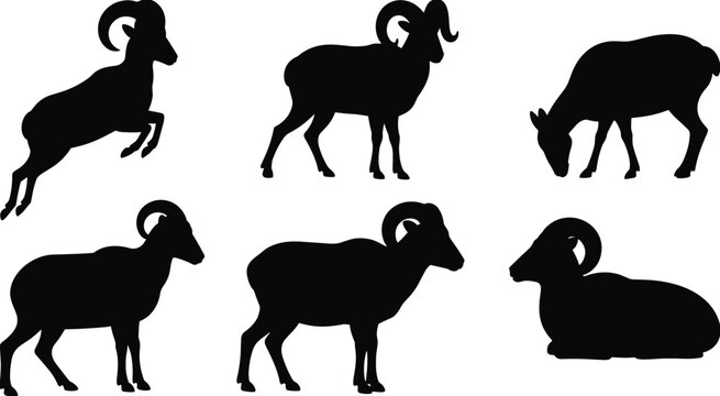 Collection of black ram silhouettes mountain goat icons set isolated on white background cad drawing flat vector illustration for wildlife nature design