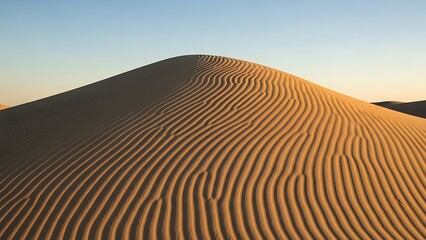 Striking undulating patterns sculpted by wind across the sunlit golden sand dune surface under a clear vast blue sky backdrop
