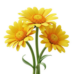 Naklejka premium Bright yellow flowers in a clear glass vase on a white background