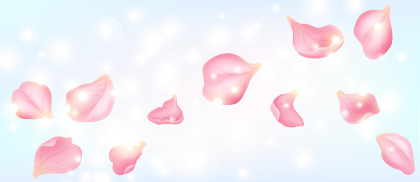 Glowing Sakura Cherry Blossom Petals on Soft Blue Pastel Background