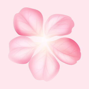 Pink Sakura Blossom Isolated on Soft Pastel Background Vector