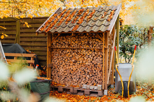 Stacked firewood under rustic wooden shed in autumn garden