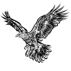Fototapeta premium Majestic eagle soaring through the air with outstretched wings