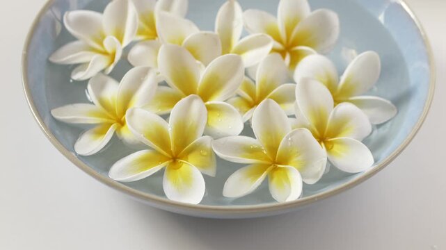 Floating plumeria flowers in ceramic bowl with water, wellness marketing visual spa branding, beauty industry, calm lifestyle, self care. Frangipani flowers. Perfect for luxury spa promotions
