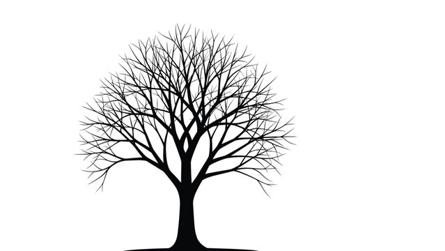 Intricate black silhouette of a large symmetrical tree with bare branches during winter season isolated on a clear white background for graphic use.