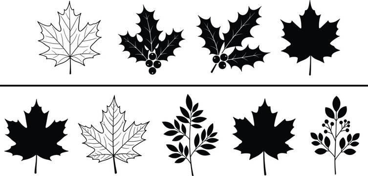 Black Leaf Silhouette Collection Featuring Maple Holly and Various Foliage Shapes for Autumn Seasonal Decor Nature Conservation and Botanical Graphic Design Projects