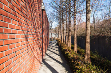 벽과 나무가 있는 산책로