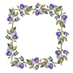 Blueberries square frame. Hand drawn watercolor isolated on white background. Clipart. Perfect for invitations, logo design, or food-related branding