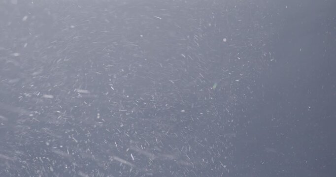 Tiny snow or dust randomly flying in the air, empty space template for objects advertisement. Many dust particles cloud of white powder on empty lit background.