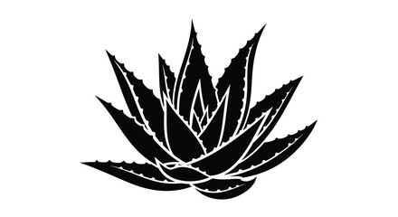 A striking black agave plant design presented as a silhouette © MALA