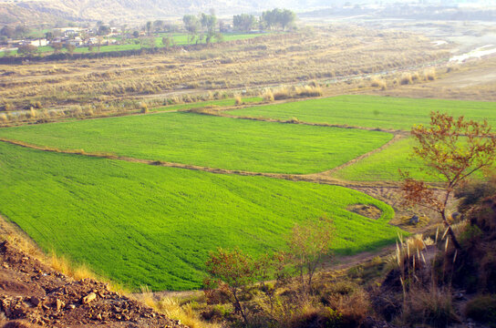 Beautiful green fields in a valley Margalla hills Islamabad (