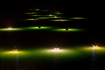 吉野川のシラスウナギ漁