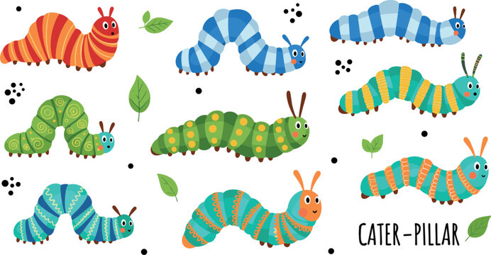 Cute colorful caterpillar characters set with playful poses and patterns representing insects, nature, childhood learning, and friendly animals illustrated in flat vector style