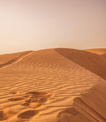beautiful woman relaxing on the beach on a warm evening at sunset