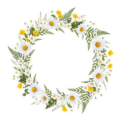 Fototapeta premium Daisy Wildflower Wreath Frame Isolated on Transparent Background Watercolor Illustration PNG