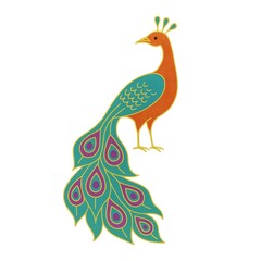 Fototapeta premium Front Open Peacock Feather Illustration, Cartoon Peacock Vector Design, Blue, Peacock Illustration