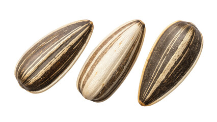 set of sunflower seed ,png