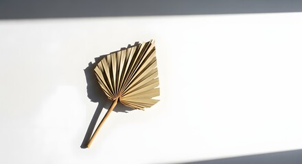 Minimalist Dried Palm Leaf on White Background