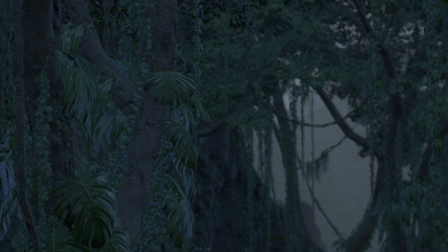 In the heart of an enchanting forest, lush foliage surrounds you as shadows stretch and dance under a soft moonlit glow. The air is filled with mystery and calm.