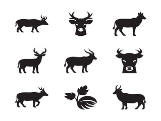 Bold desert wildlife silhouette with rugged natural beauty