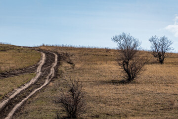 Fototapeta premium Dirt road winding through a dry spring steppe with bare trees under a clear blue sky. Scenic view of an unpaved country road stretching across a grassy hill with sparse leafless trees.