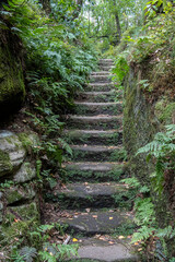 Weathered stone stairs on the forest path