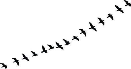 Vector illustration of bird formation silhouettes, diagonal flight line, migratory pattern, coordinated group motion, black design, nature theme, wildlife icon, energy conservation artwork © MdRabiul