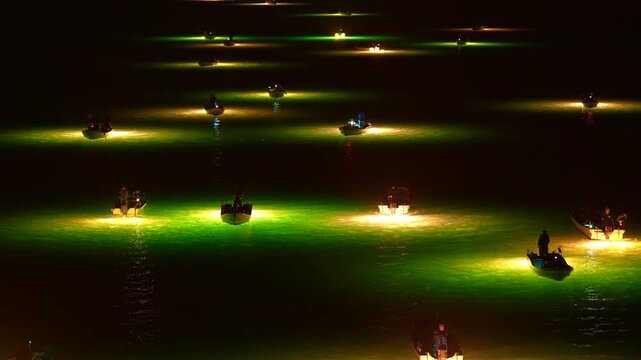 吉野川のシラスウナギ漁