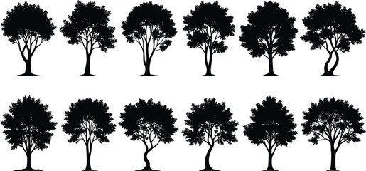 Fototapeta premium Black deciduous tree silhouette icons set, forest oak and maple shapes, nature garden elements, seasonal park foliage for landscape design,