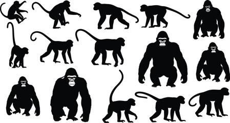 Vector illustration of primate silhouettes including monkeys and gorillas symbolizing wildlife, anatomy, culture, biology, education, and decorative design