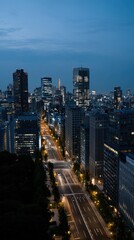 Obraz premium Night View of Tokyo Skyline with Illuminated Cityscape and Tranquil Streets