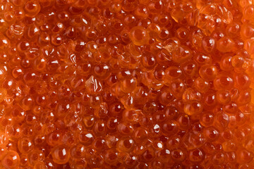 Fresh salmon roe (ikura or salmon caviar) close-up with vibrant orange pearls and glossy texture, ideal for sushi, Japanese cuisine, and premium seafood concepts.